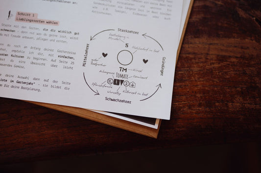 Wie du deinen Gemüsegarten mit System anlegst