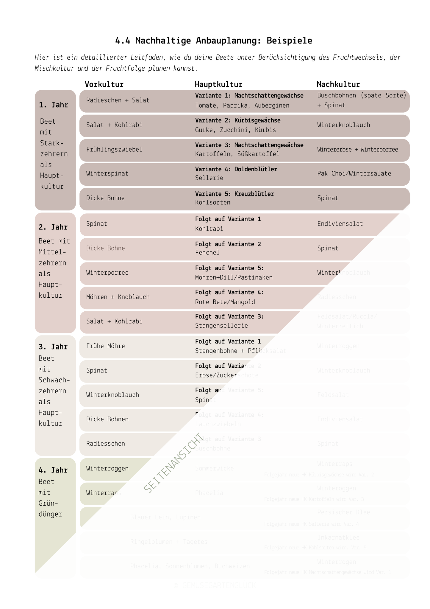 Gemüsegarten planen – Planungsschablonen Basis