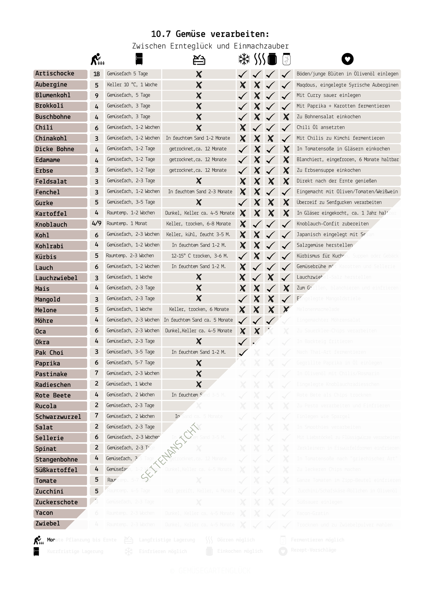 Gemüsegarten planen – Planungsschablonen Basis