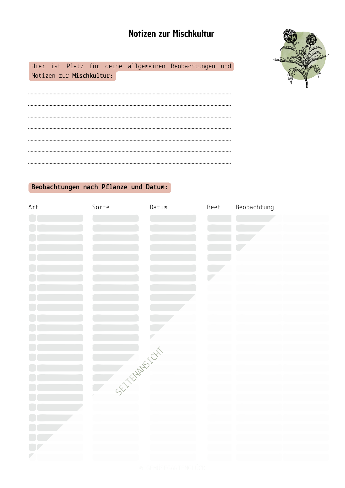 Gemüsegarten planen – Planungsschablonen Basis