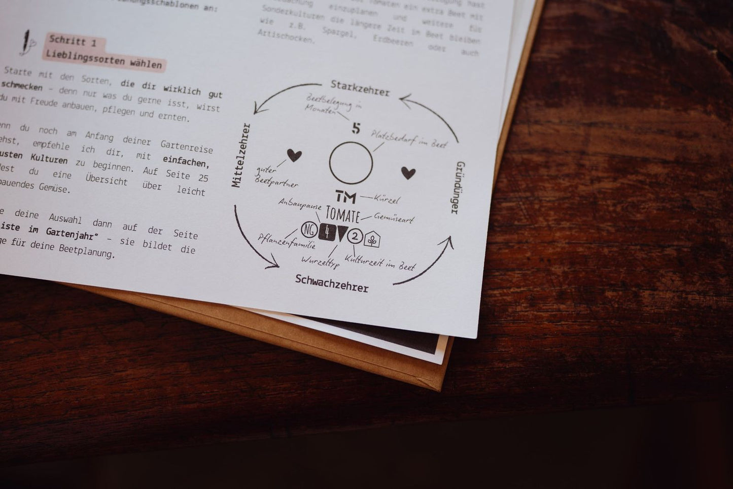 Gemüsegarten planen – Planungsschablonen Exklusiv