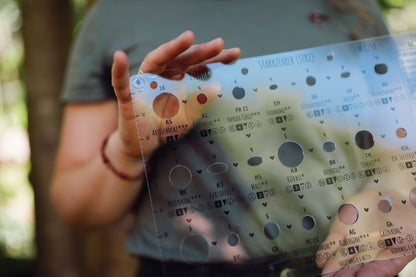 Gemüsegarten planen – Planungsschablonen Basis