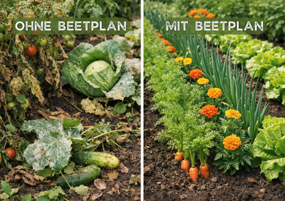 Planungsschablone für kleine Gärten & Hochbeete